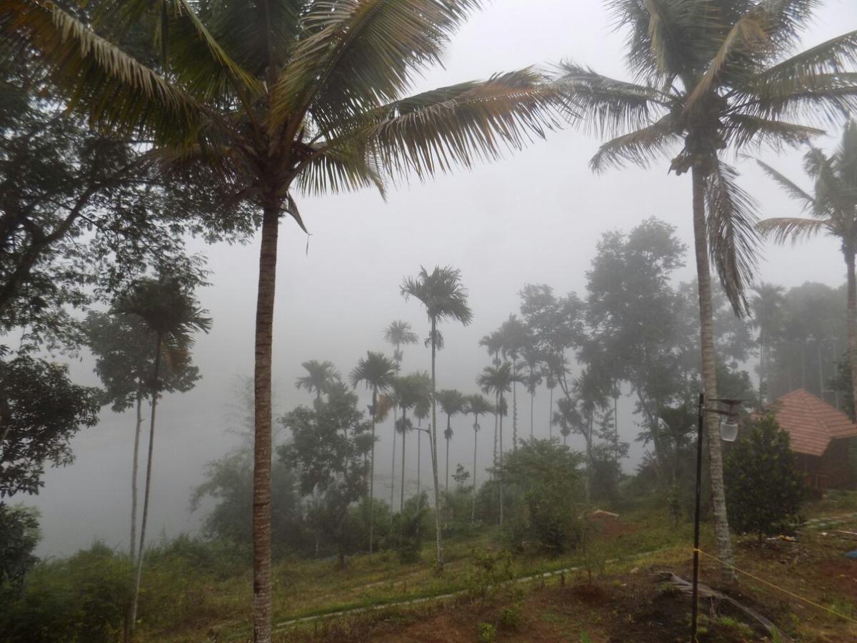Misty Mornings Resort Ambalavayal 外观 照片