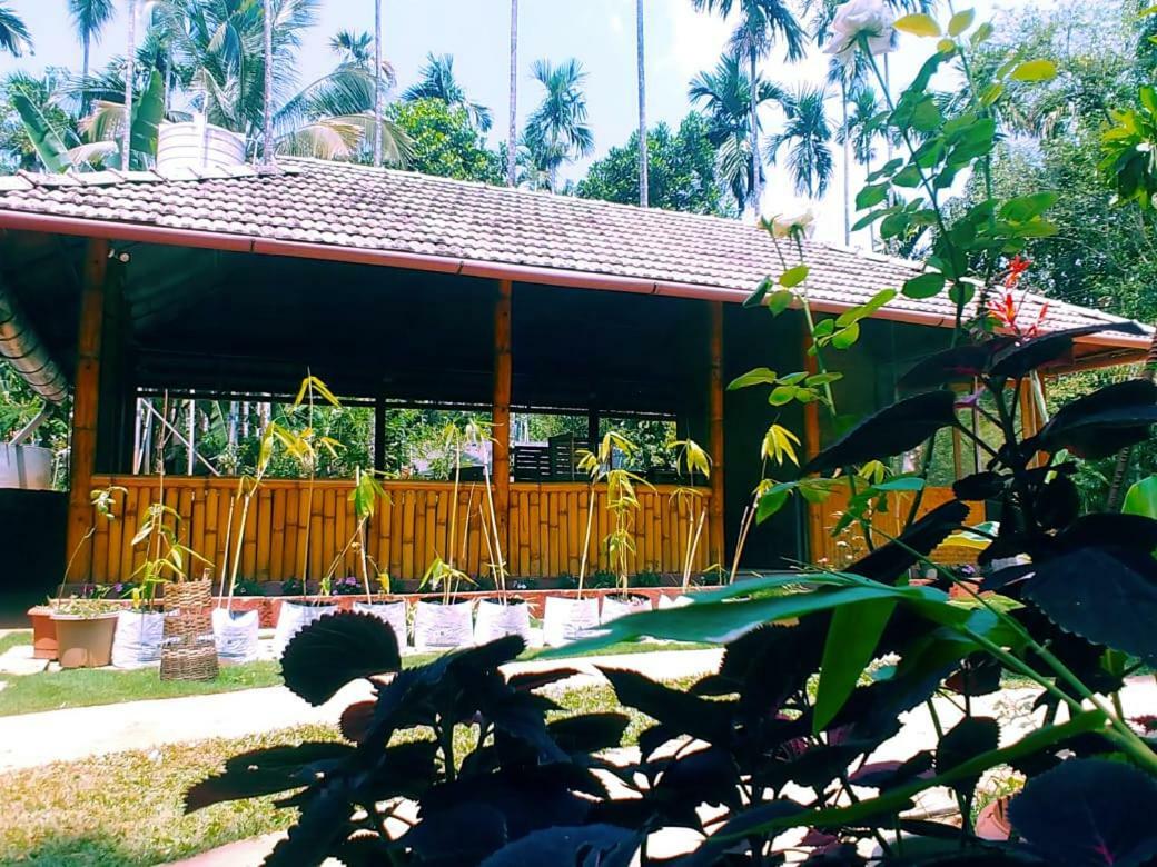 Misty Mornings Resort Ambalavayal 外观 照片