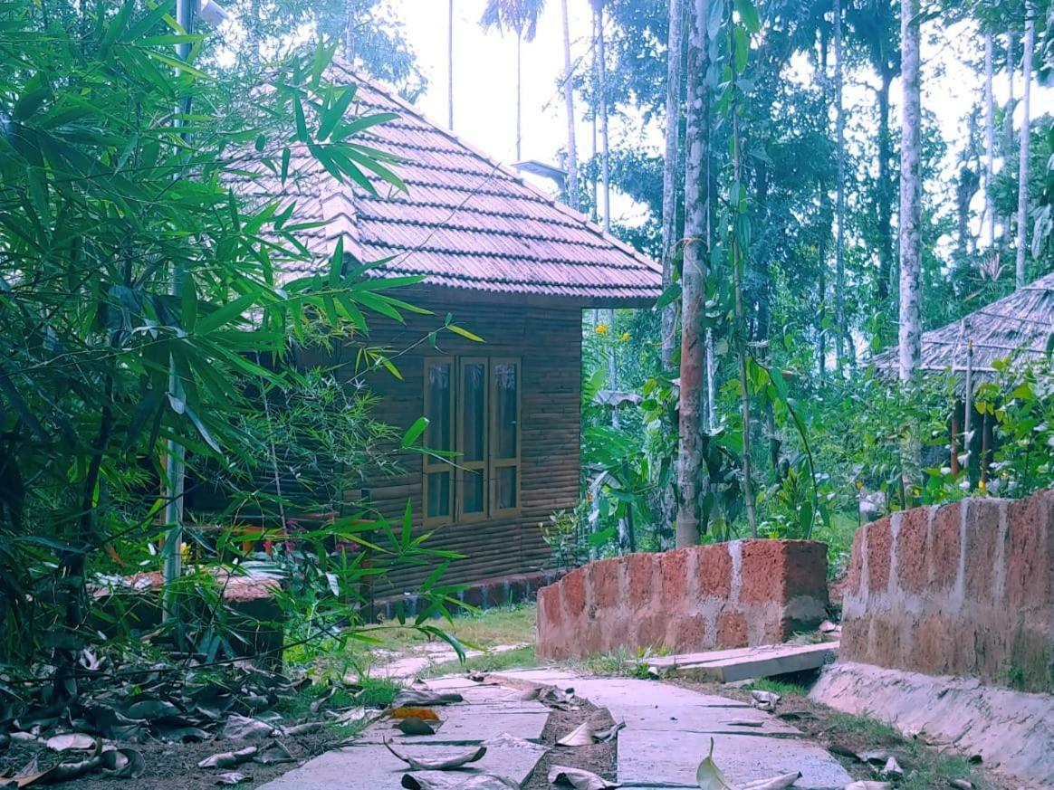 Misty Mornings Resort Ambalavayal 外观 照片