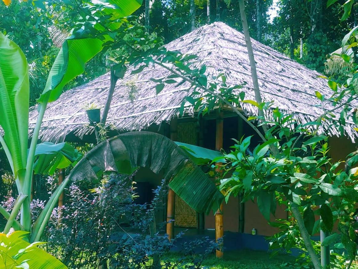 Misty Mornings Resort Ambalavayal 外观 照片