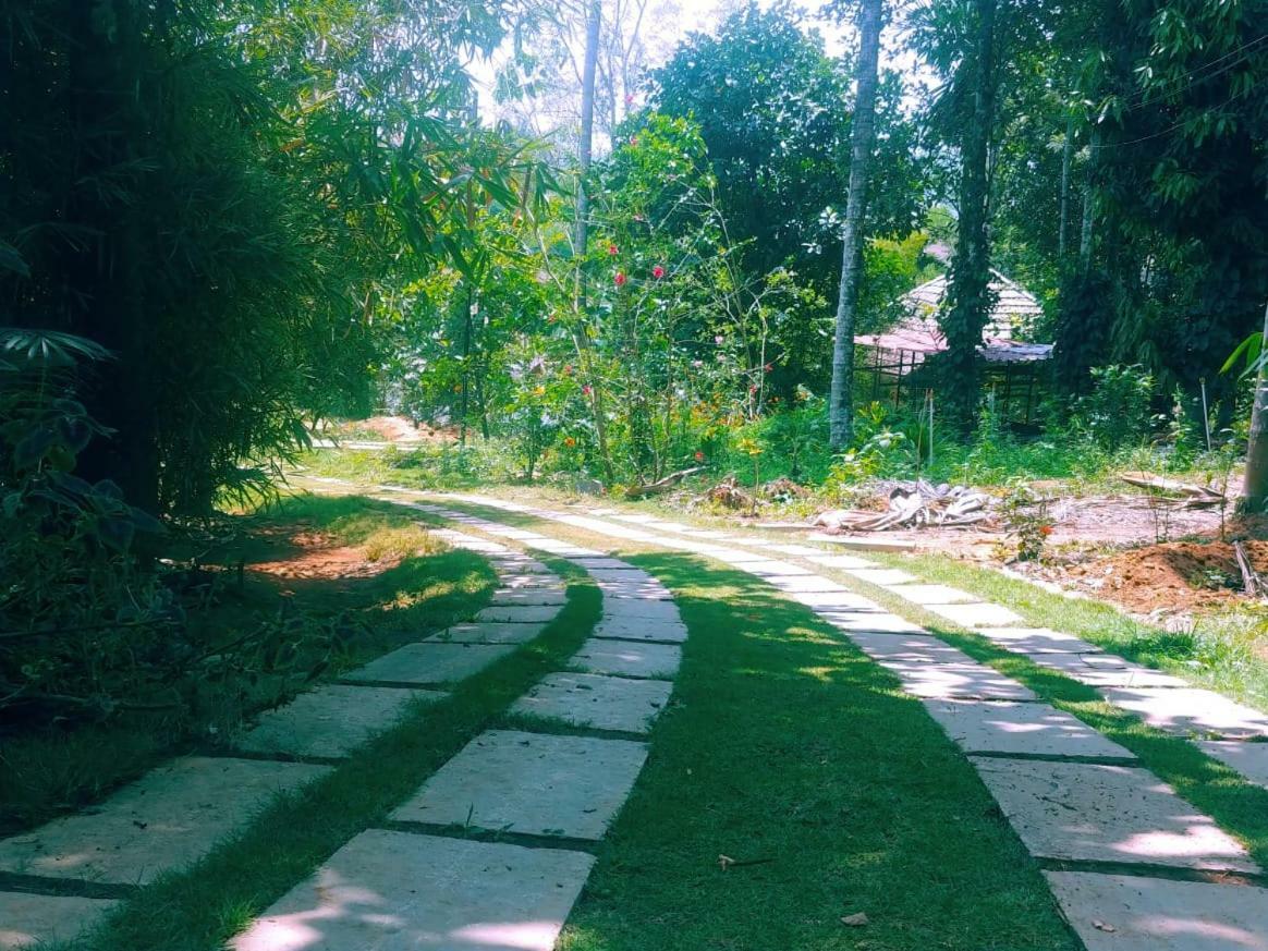 Misty Mornings Resort Ambalavayal 外观 照片
