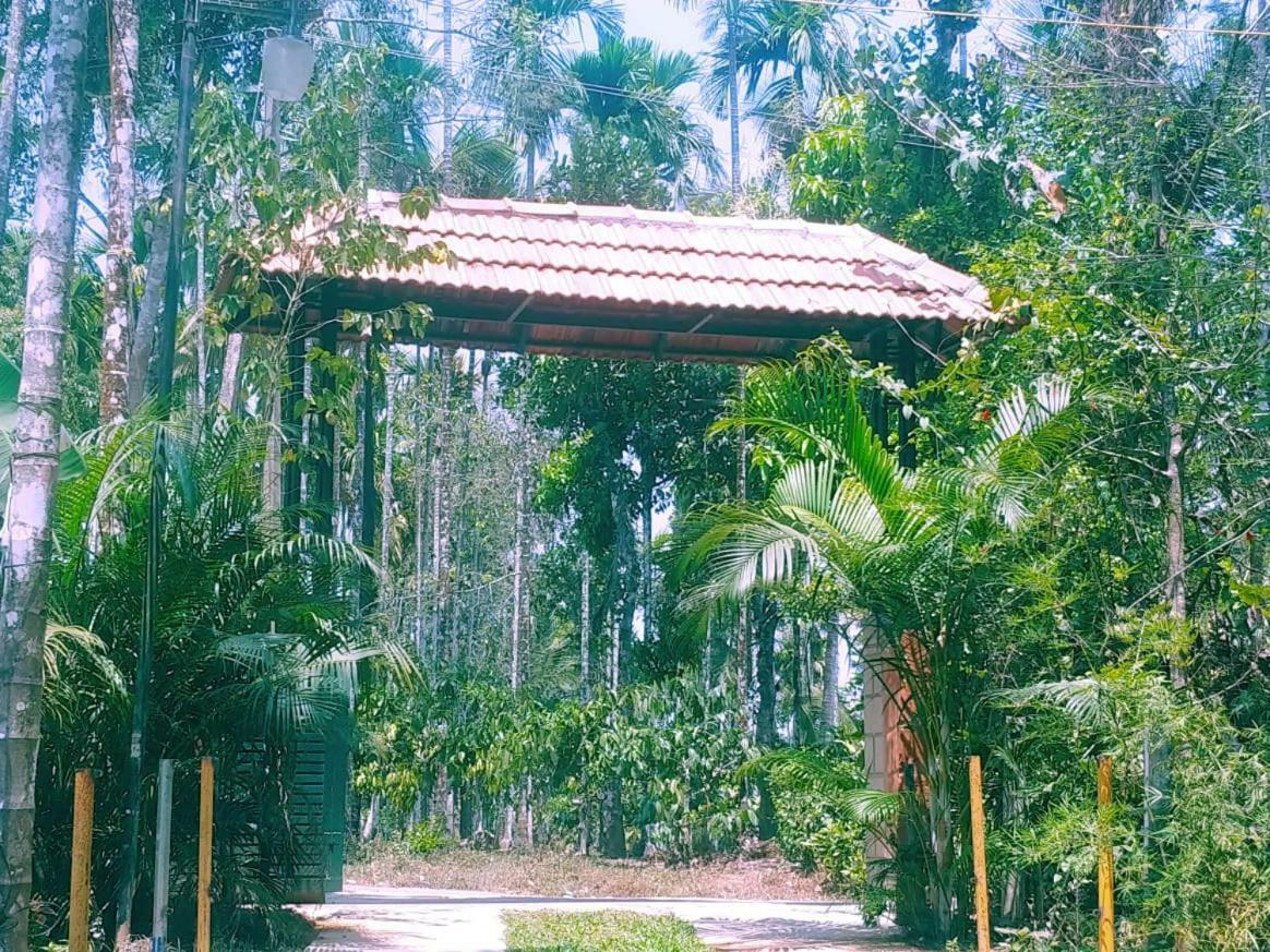 Misty Mornings Resort Ambalavayal 外观 照片