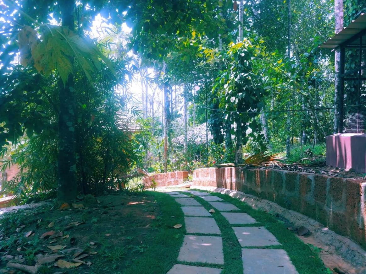 Misty Mornings Resort Ambalavayal 外观 照片