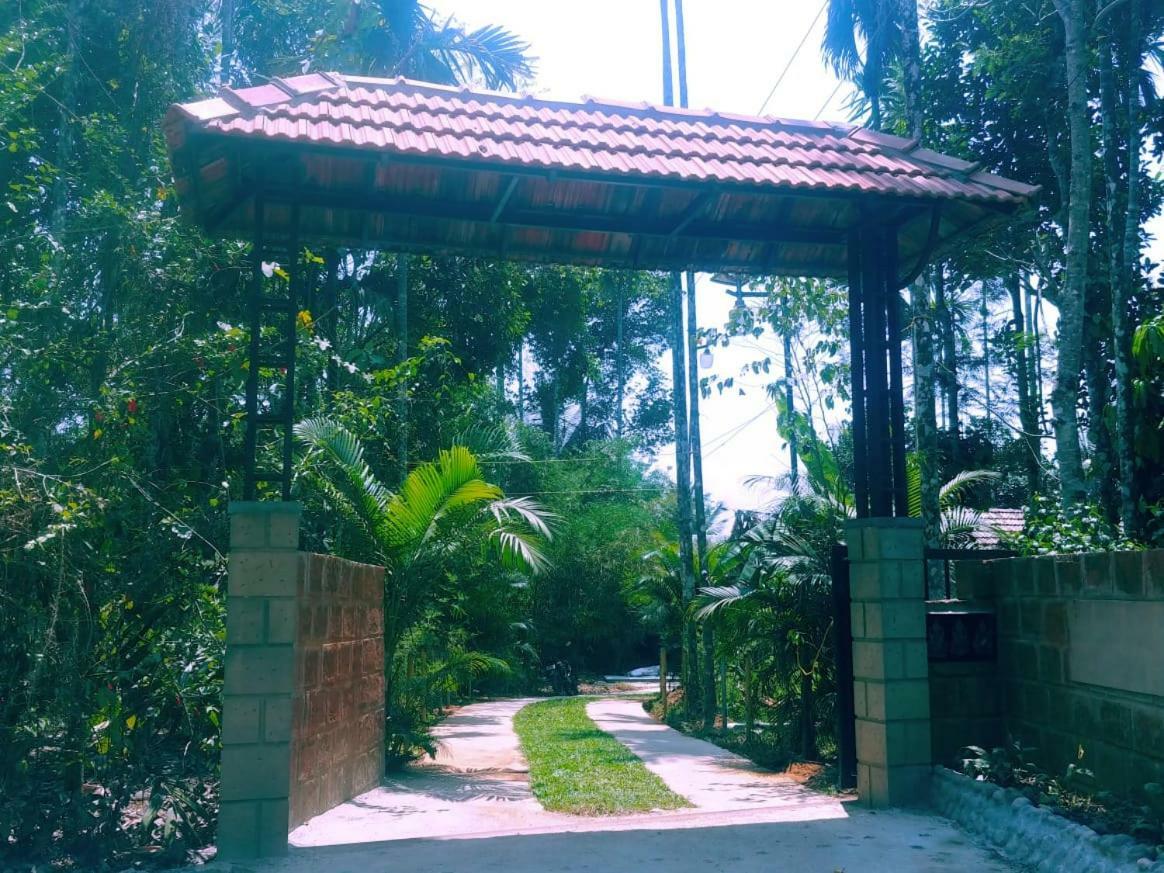 Misty Mornings Resort Ambalavayal 外观 照片
