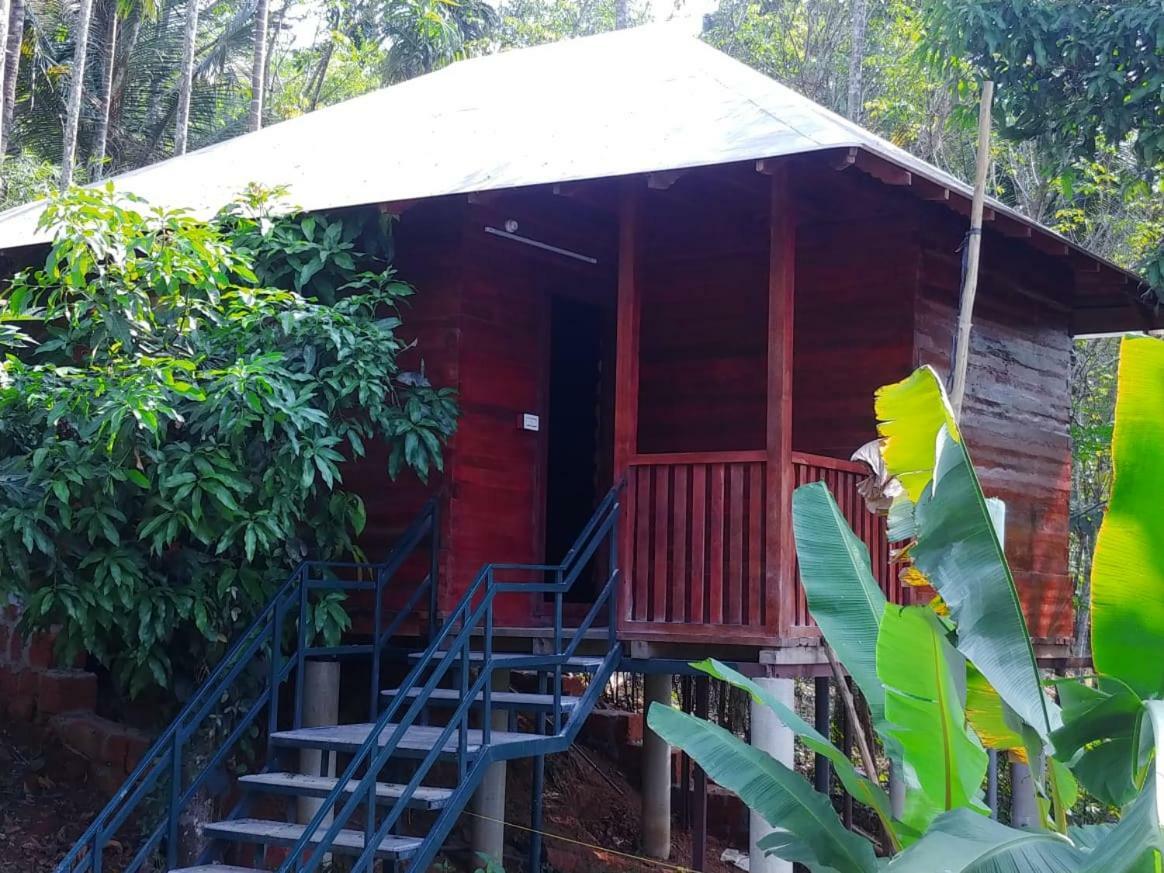 Misty Mornings Resort Ambalavayal 外观 照片